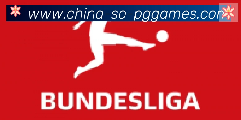 PG模拟器官方网站合作伙伴